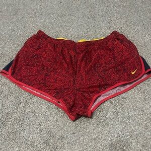 Nike dry fit shorts size large